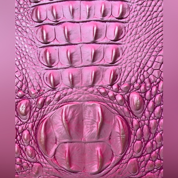 NWT Brahmin Katie CUPID Melbourne Crossbody - Picture 5 of 11